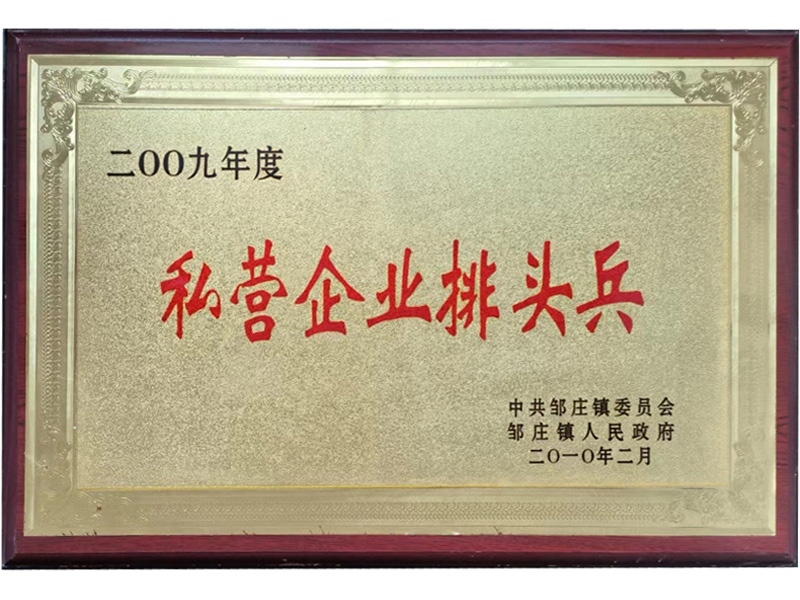 2009年度私營企業(yè)排頭兵
